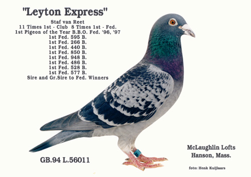 leyton-express.jpg